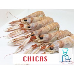 CIGALAS CHICAS COCIDAS