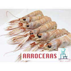 CIGALAS  ARROCERAS COCIDAS